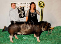 Team Purebred National Jr Summer Show Winner