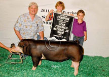 Team Purebred National Jr Summer Show Winner