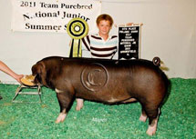 Team Purebred National Jr Summer Show Winner