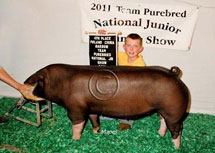 Team Purebred National Jr Summer Show Winner