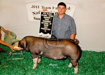 Team Purebred National Jr Summer Show Winner