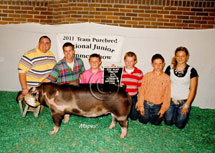 Team Purebred National Jr Summer Show Winner