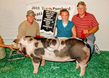 Team Purebred National Jr Summer Show Winner