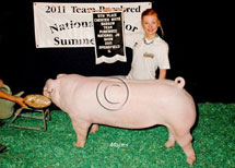 Team Purebred National Jr Summer Show Winner