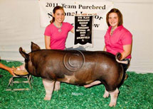 Team Purebred National Jr Summer Show Winner