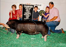 Team Purebred National Jr Summer Show Winner