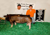 Team Purebred National Jr Summer Show Winner