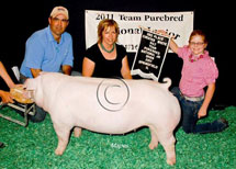 Team Purebred National Jr Summer Show Winner