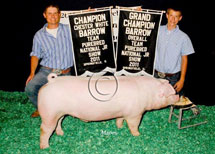 Team Purebred National Jr Summer Show Winner