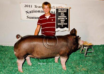 Team Purebred National Jr Summer Show Winner