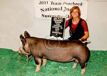 Team Purebred National Jr Summer Show Winner