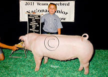 Team Purebred National Jr Summer Show Winner