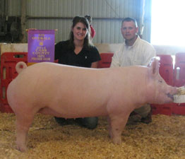 Cass County Winner