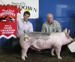 Grand Barrow - Hancock County, IN