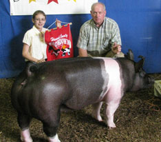 Grand Champion Gilt - Hancock County, IN