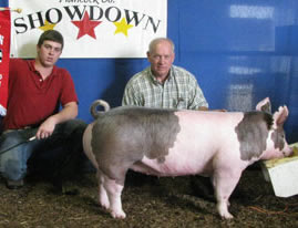 Reserve Grand Gilt - Hancock County, IN