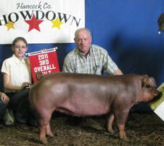 3rd Overall Gilt - Hancock County, IN