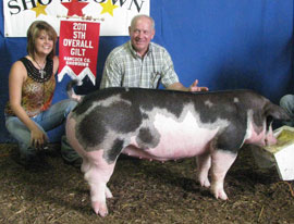 5th Overall Gilt - Hancock County, IN