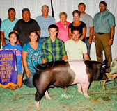 IN State Fair Gilt