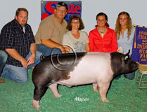 IN State Fair Barrow