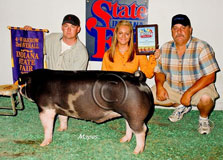IN State Fair Barrow