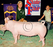 IN State Fair Barrow