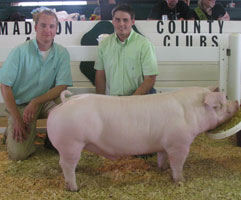 Madison Cty, IN - Sunday Show