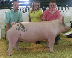 Madison Cty, IN - Sunday Show