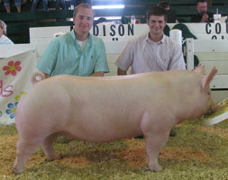 Madison Cty, IN - Sunday Show