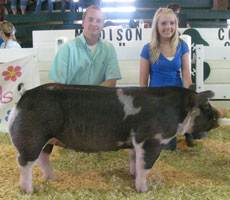 Madison Cty, IN - Sunday Show