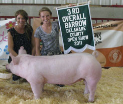 Delaware Cty Jackpot Results