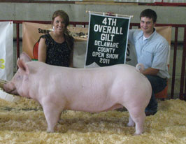 Delaware Cty Jackpot Results