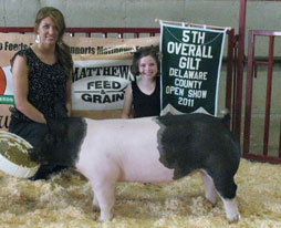 Delaware Cty Jackpot Results