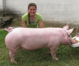 Noble County Winner