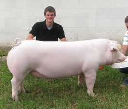 Noble County Winner
