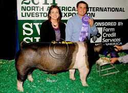 NAILE CHAMPS
