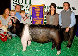 NAILE CHAMPS