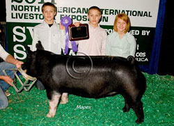 NAILE CHAMPS