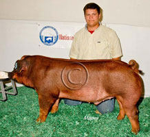 NBS 2011