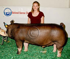 NBS 2011