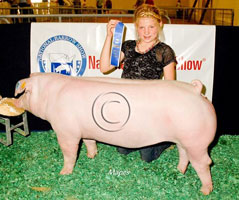 NBS 2011