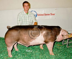NBS 2011