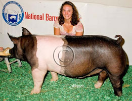 NBS 2011