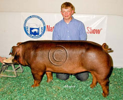 NBS 2011