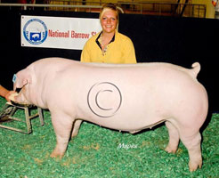 NBS 2011