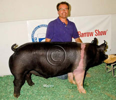 NBS 2011