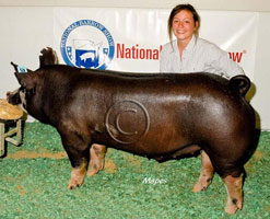 NBS 2011