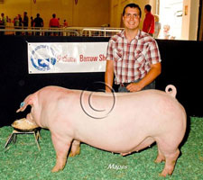 NBS 2011