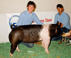 NBS 2011