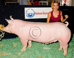 NBS 2011
